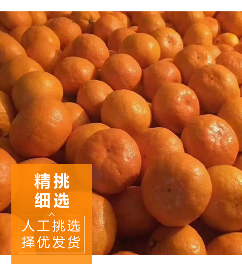 浙江台州橘子临海涌泉蜜桔黄岩蜜橘桔子电商/微商一件代发
