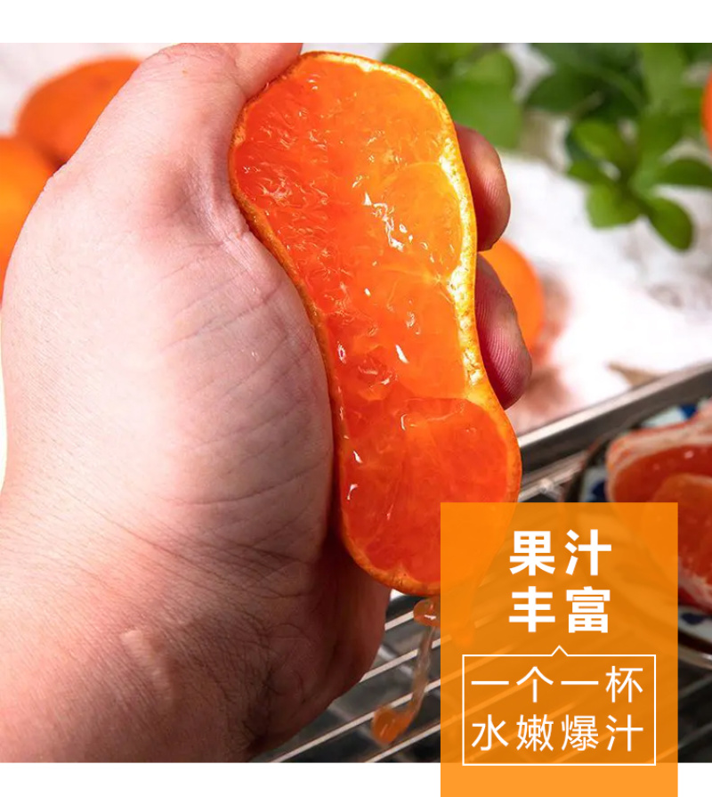 浙江台州橘子临海涌泉蜜桔黄岩蜜橘桔子电商/微商一件代发