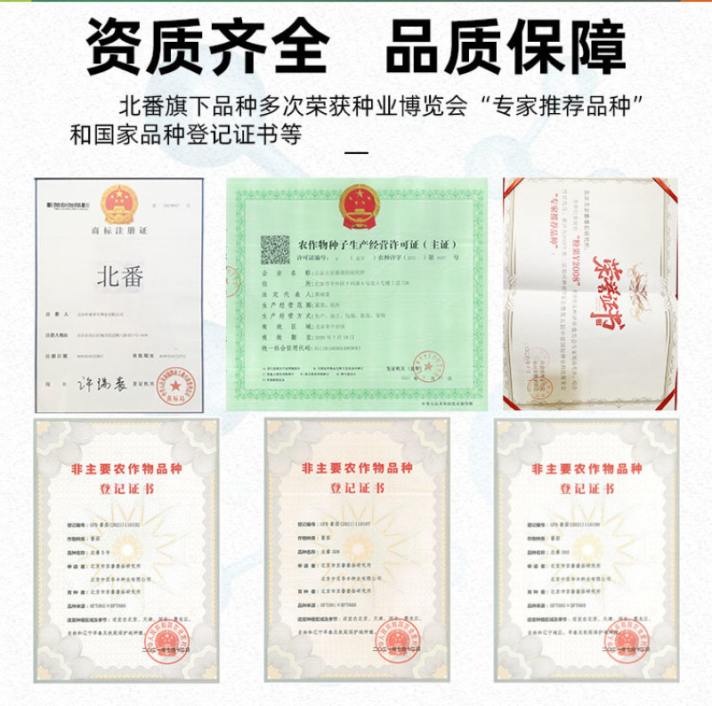 巨粉宝石大番茄种子超大果粉果口感好菜种籽大棚沙瓤高产菜籽