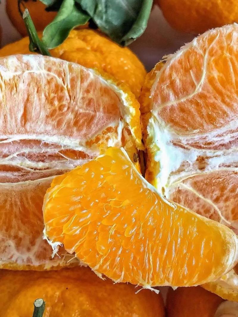 丑橘不知火丑橘皮薄汁甜入口化渣视频看货欢迎咨询