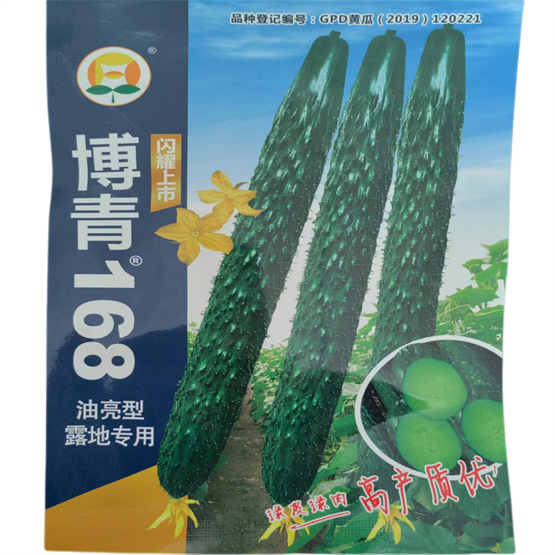 博青168黄瓜种子深绿油亮果肉嫩绿高产耐热密刺型露地专用