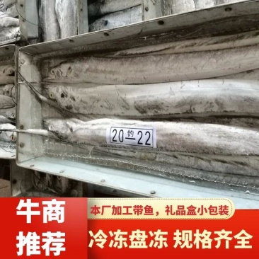 舟山带鱼，精品礼盒，厂家直发，量大从优欢迎产地咨询！