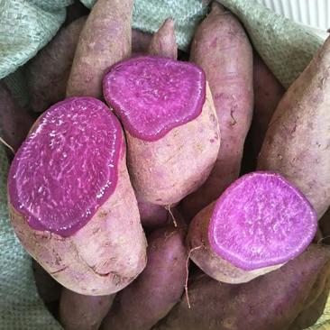【热卖】紫薯蜜薯大量上市中产地一手货源诚信店铺诚信合作