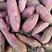 【热卖】紫薯蜜薯大量上市中产地一手货源诚信店铺诚信合作