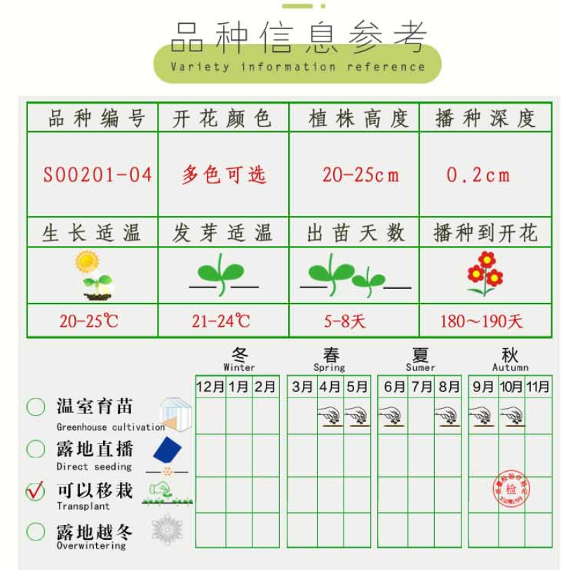 常用花卉瓜叶菊种子办公室内阳台盆栽庭院花卉混色