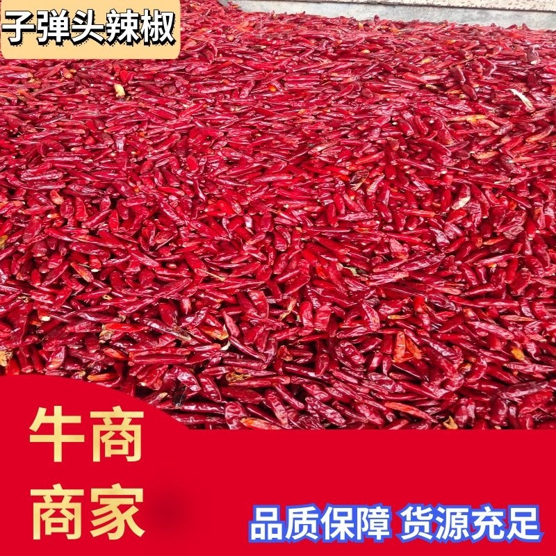子弹头辣椒，大量上市，货源充足，可视频看货