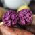 【香甜粉糯】沙地紫薯批发板栗番薯地瓜红薯新鲜蜜薯蔬菜