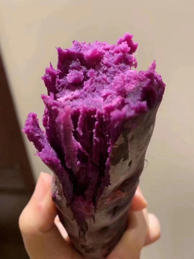 【香甜粉糯】沙地紫薯批发板栗番薯地瓜红薯新鲜蜜薯蔬菜