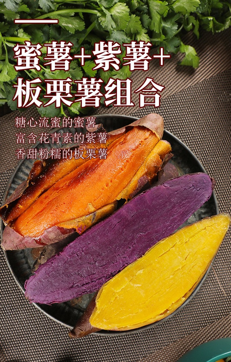 【香甜粉糯】沙地紫薯批发板栗番薯地瓜红薯新鲜蜜薯蔬菜