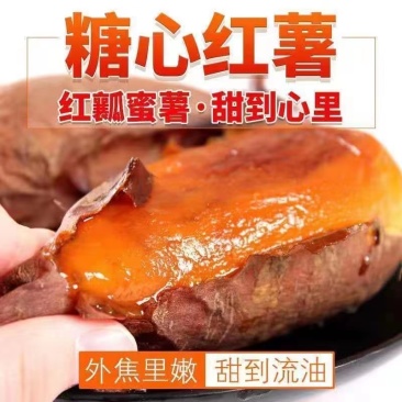 山东烟薯25山东密薯批发支持装车批发2022年新鲜