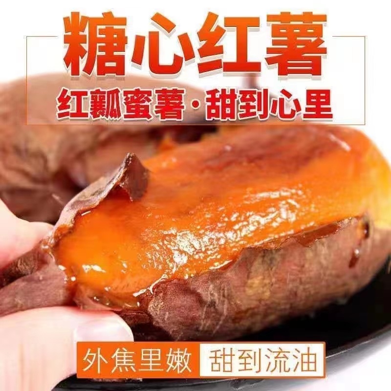 山东烟薯25山东密薯批发支持装车批发2022年新鲜