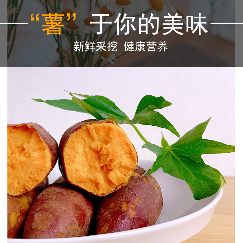 西瓜红一件代发山东红薯西瓜红红薯批发