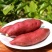 济薯26号山东临沂红薯板栗薯一件代发红薯批发装车零担物流