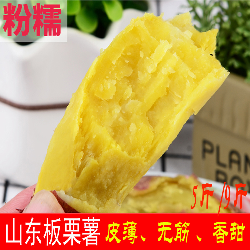板栗薯发板栗薯济薯26红薯批发装车发物流常年供货