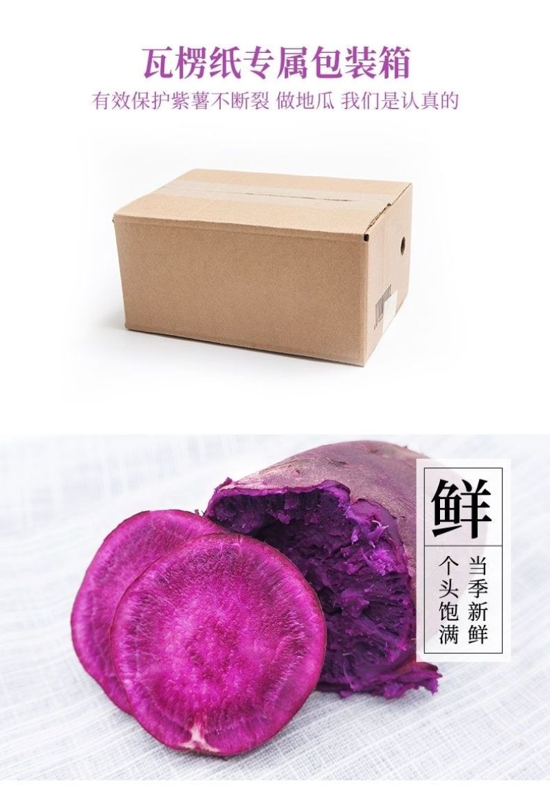山东紫薯一件代发山东紫薯紫罗兰批发品质保证发物流装大车