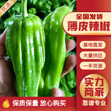 薄皮青椒，货源充足，量大从优，欢迎联系订购！