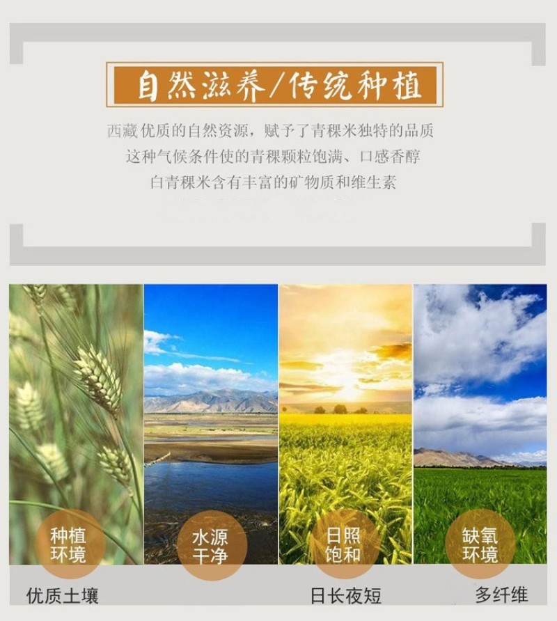 西藏青稞米低脂低升糖主食高原五谷杂粮粗粮糙米香米真空新米
