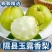 就这个了山西一级玉露香梨基地发货全国批发一件代发价低货足