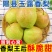 就这个了山西一级玉露香梨基地发货全国批发一件代发价低货足