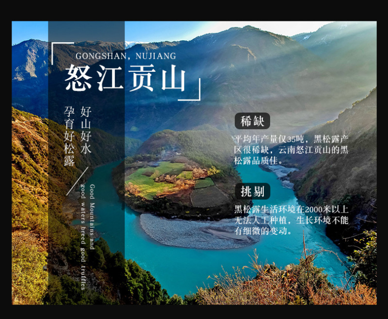 黑松露