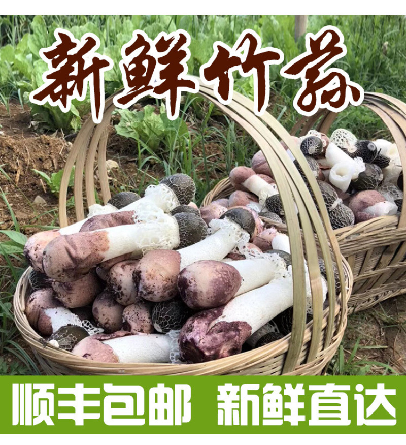 竹荪