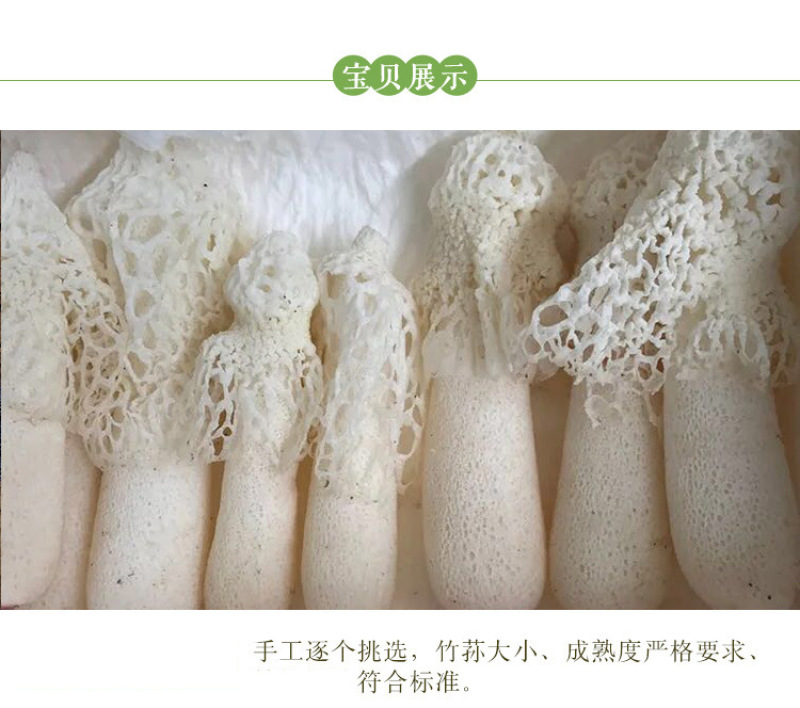 竹荪