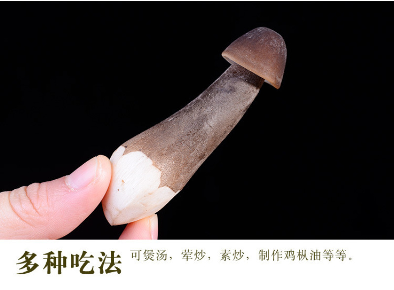 黑皮鸡枞