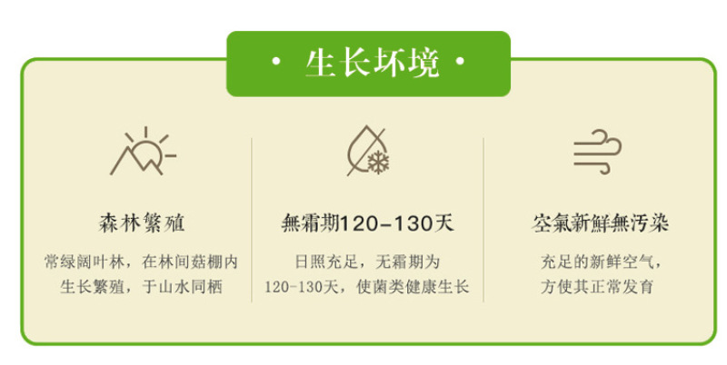 鸡油菌