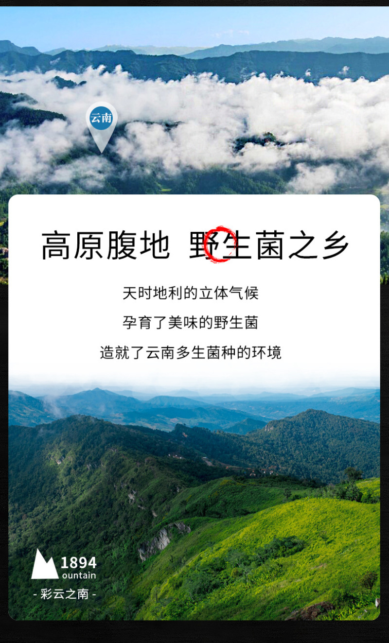 老人头