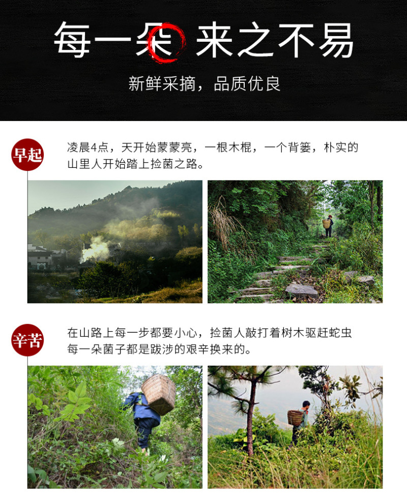 老人头