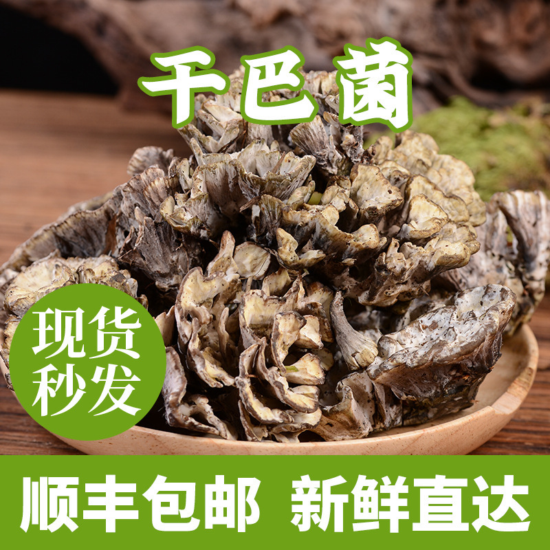 干巴菌