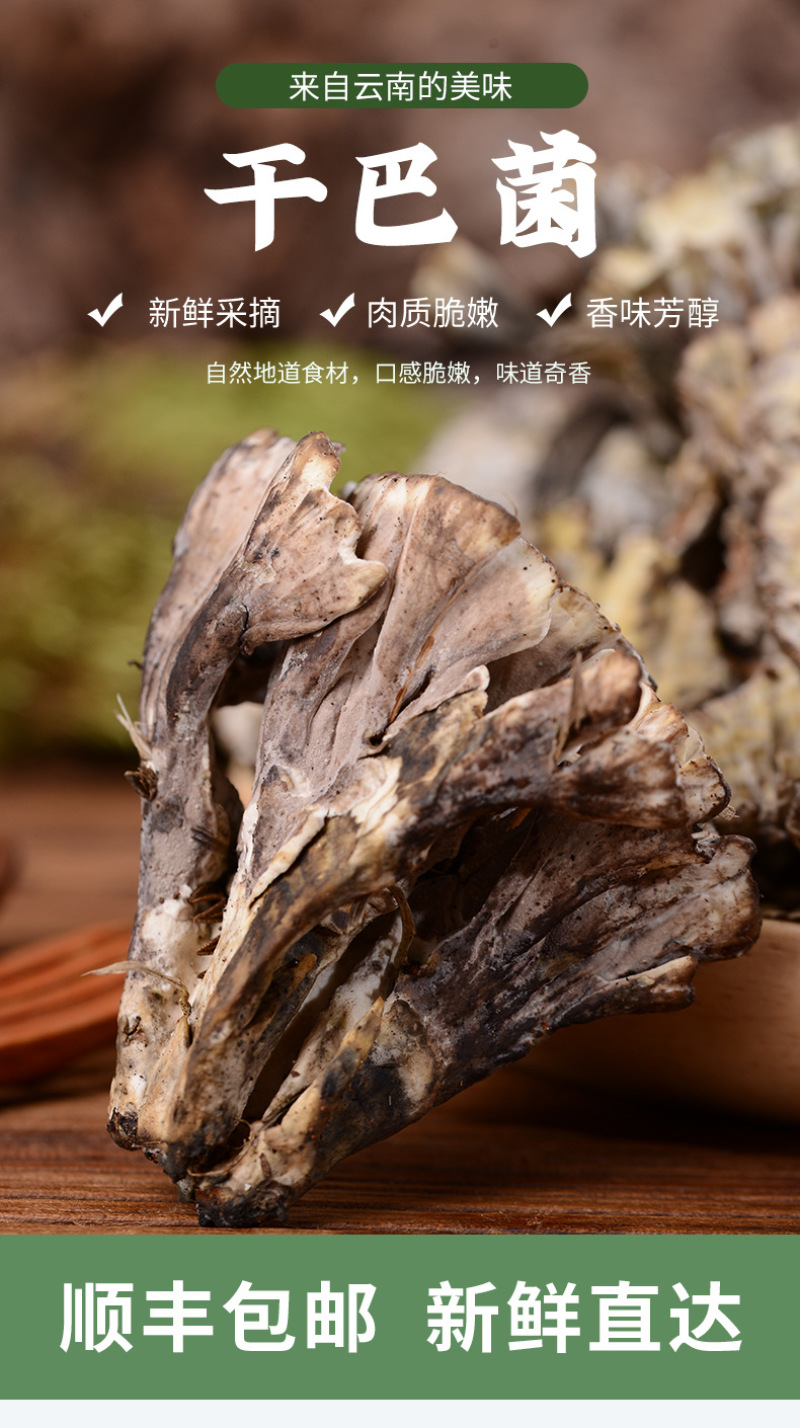 干巴菌