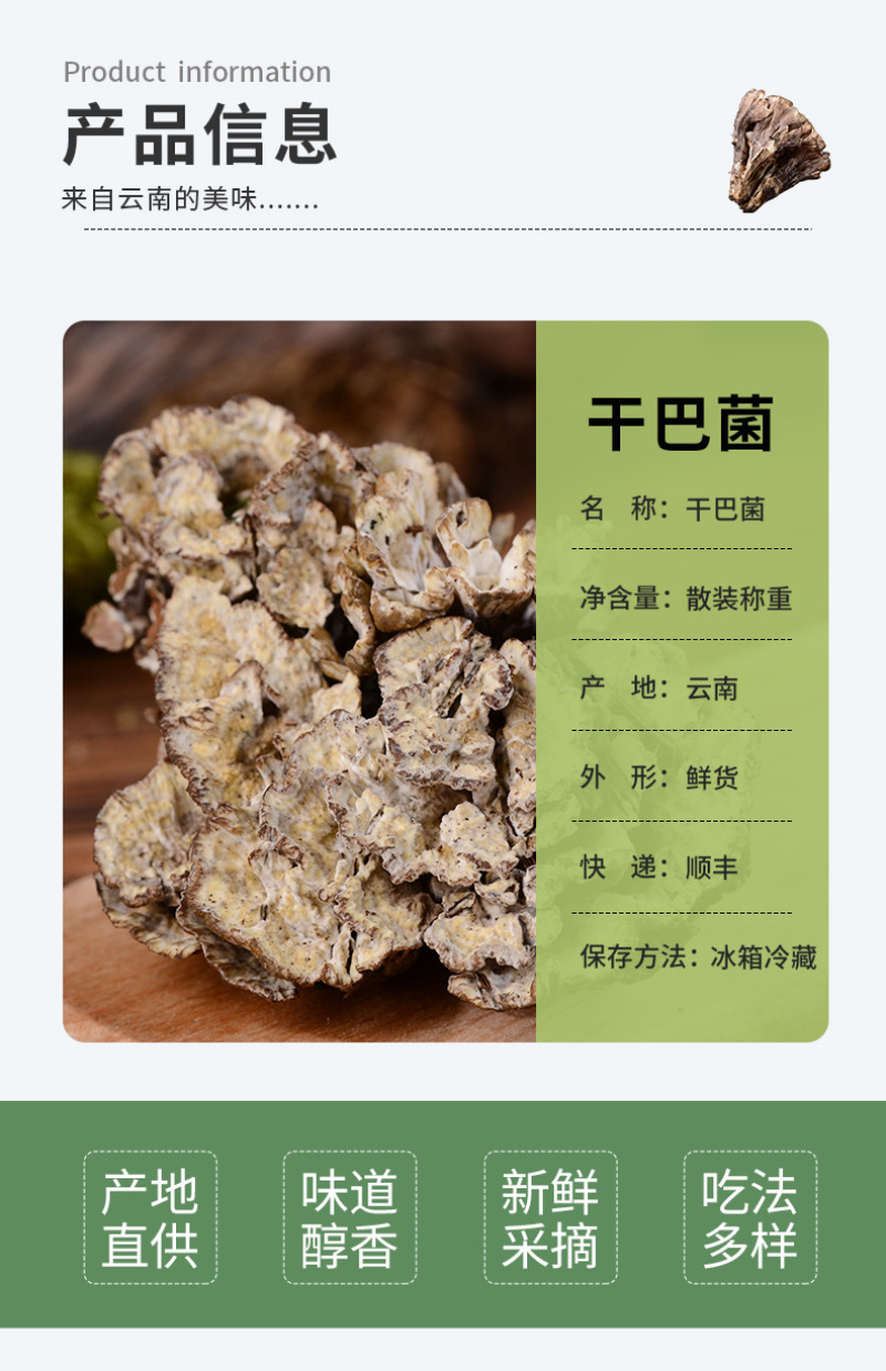干巴菌