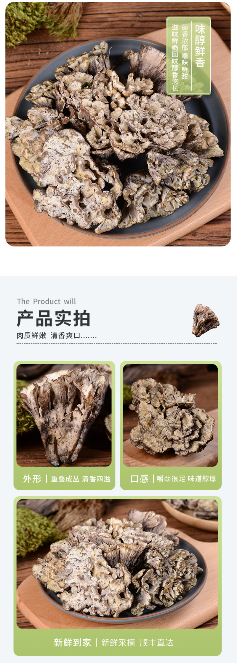 干巴菌