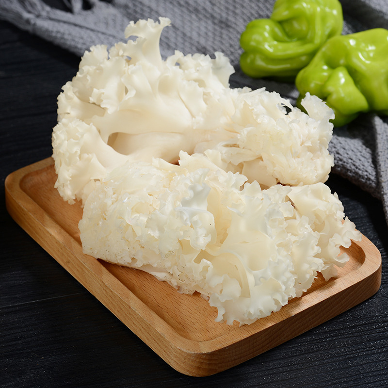 绣球菌