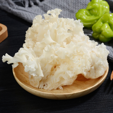 绣球菌
