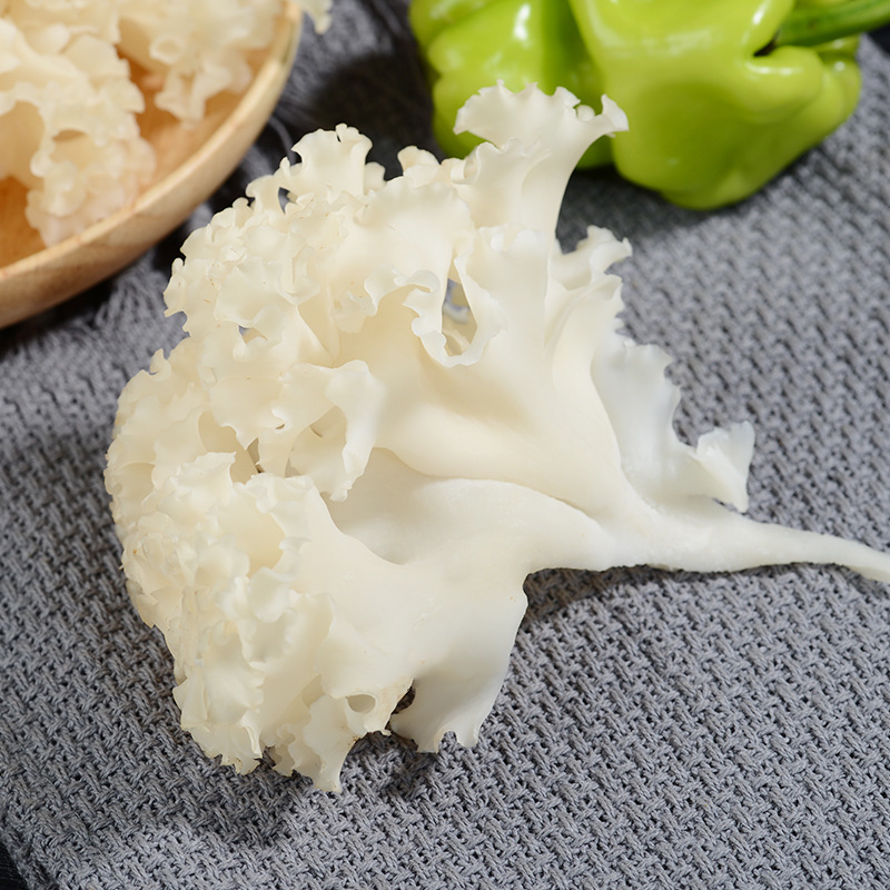 绣球菌