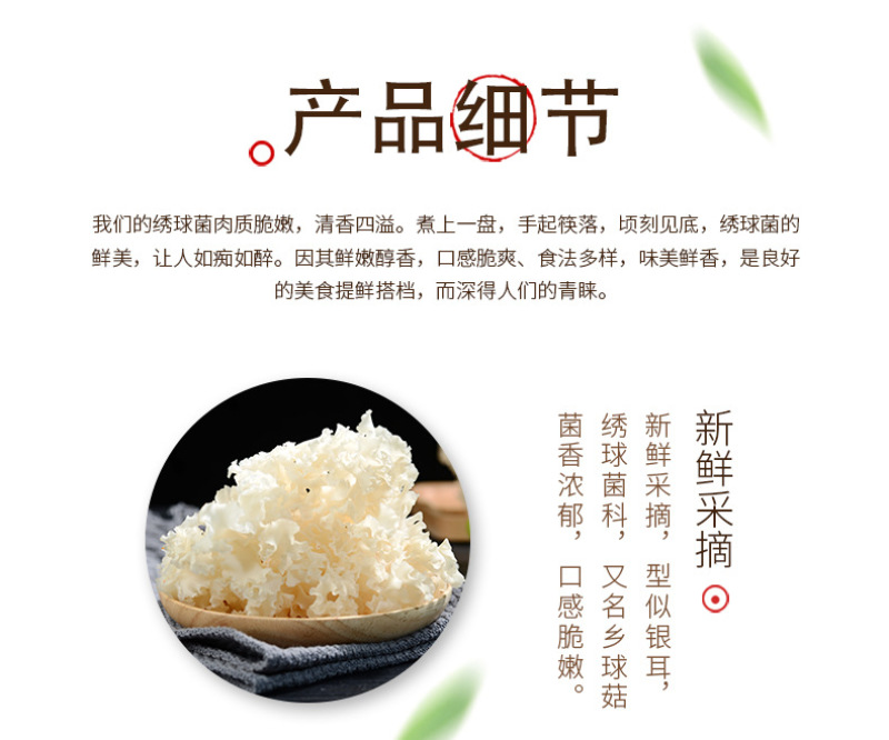 绣球菌