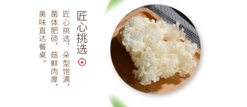 绣球菌
