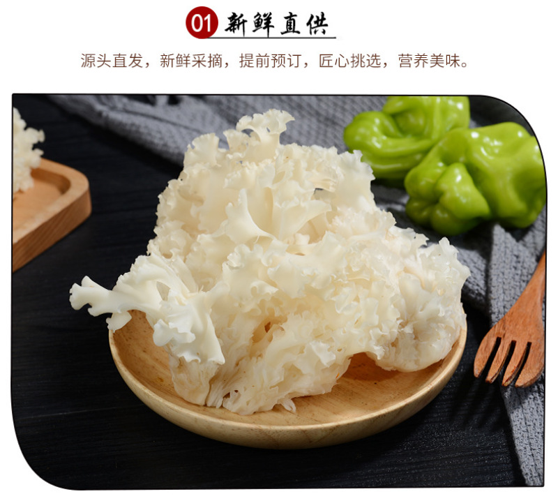 绣球菌