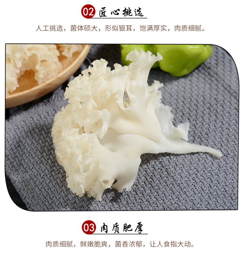 绣球菌