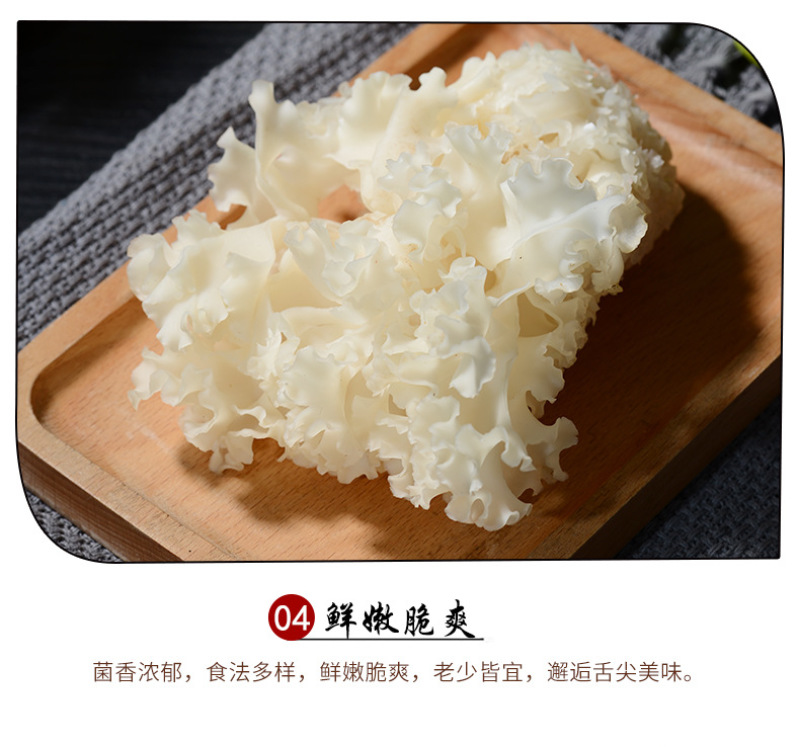 绣球菌