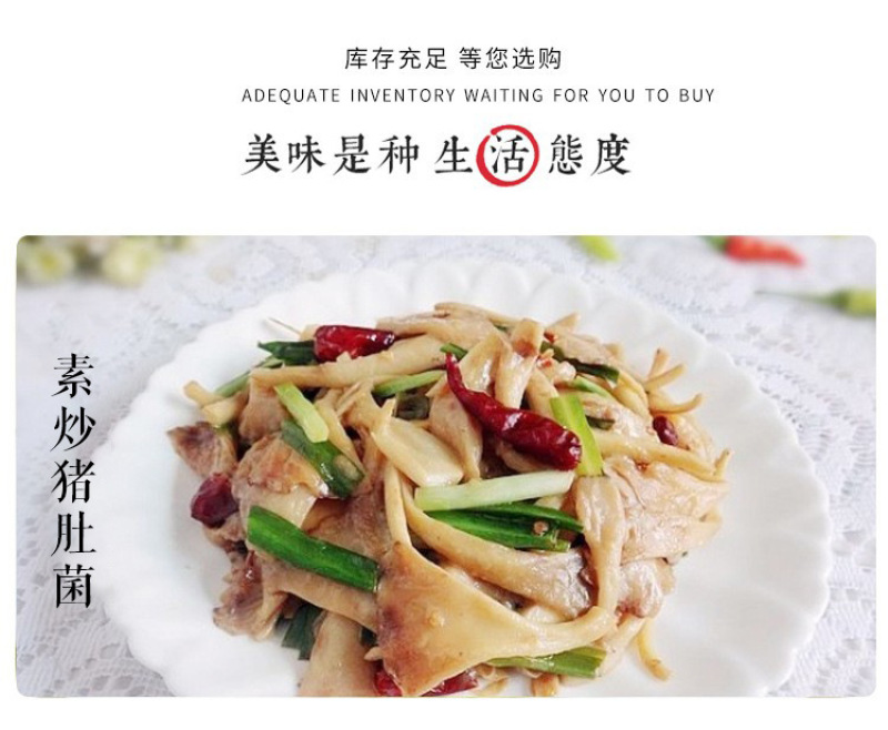 猪肚菌产地供应云南猪肚菌散装土特产食用菌批发食用猪肚菌煲