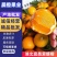 精品批发爱媛果冻橙.个大皮薄，入口即化，一手货源量大从优