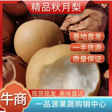 精品秋月梨皮薄脆甜核小多汁对接电商市场商超