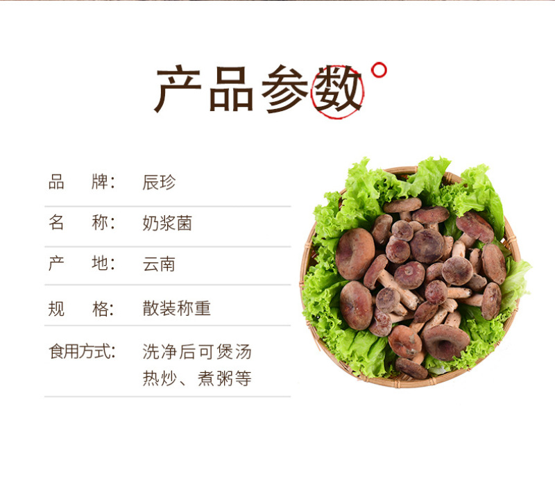奶浆菌产地直发新鲜奶浆菌云南特产食用菌煲汤食材现货奶浆