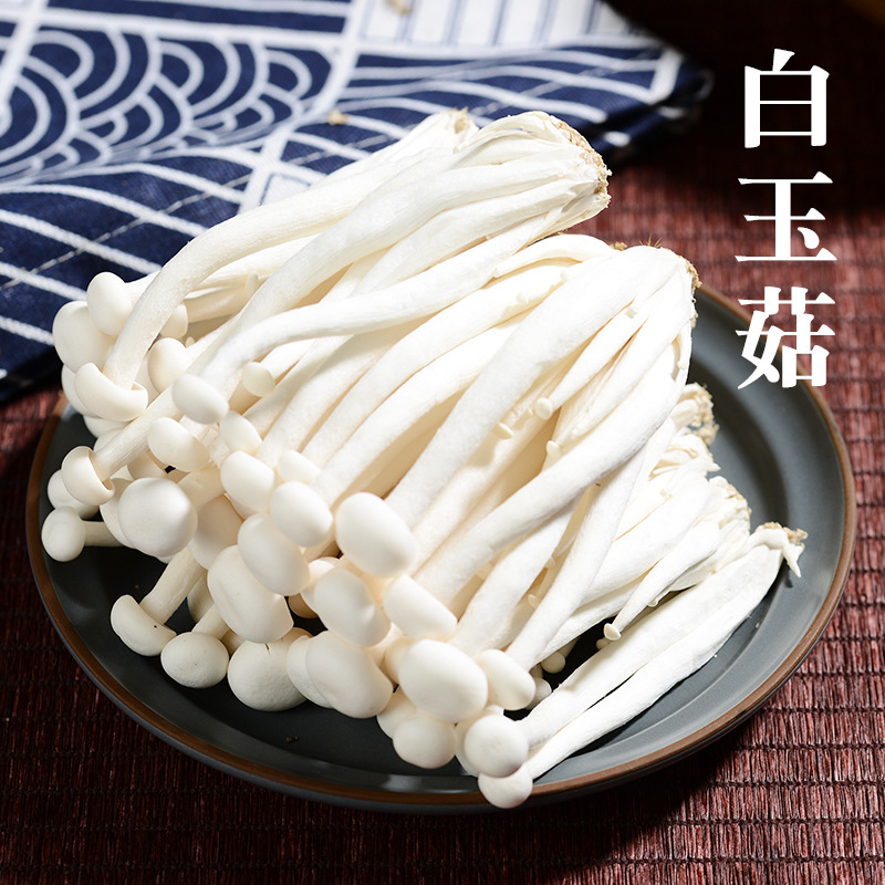 白玉菇新鲜白玉菇蘑菇新鲜菌菇类食材新鲜食用菌真姬菇白玉菇