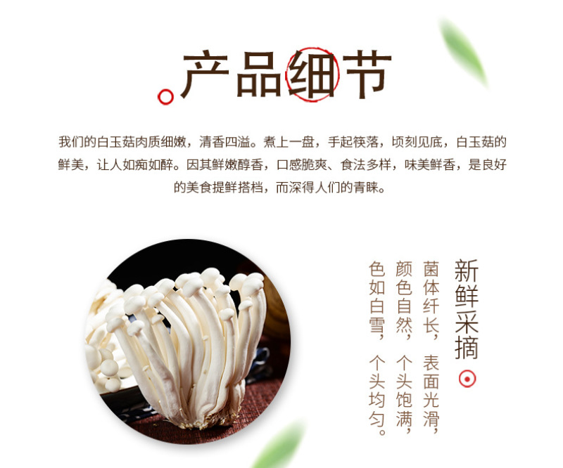 白玉菇新鲜白玉菇蘑菇新鲜菌菇类食材新鲜食用菌真姬菇白玉菇