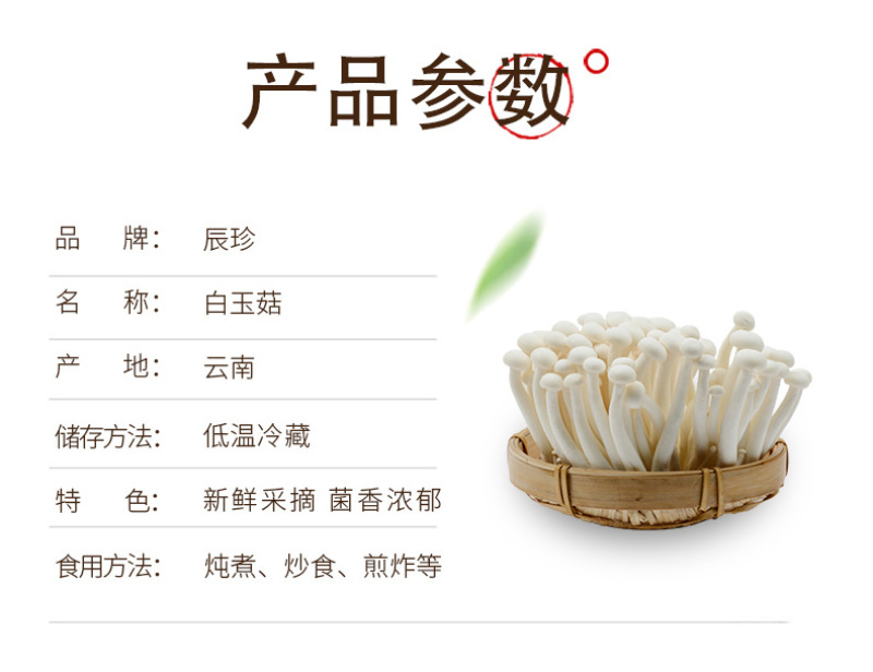 白玉菇新鲜白玉菇蘑菇新鲜菌菇类食材新鲜食用菌真姬菇白玉菇