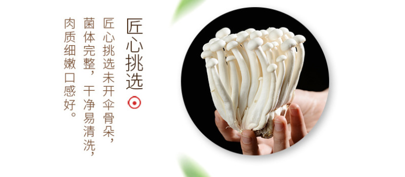 白玉菇新鲜白玉菇蘑菇新鲜菌菇类食材新鲜食用菌真姬菇白玉菇